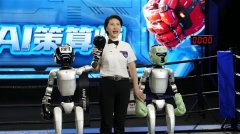 对关节、骨骼等布局的强度和不变性提出了很高